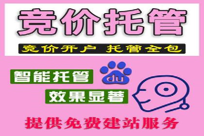 SEM竞价广告投放效果案例分析