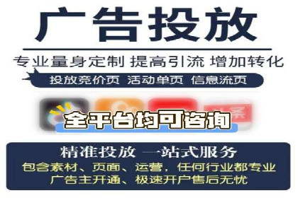 百度广告投放策略优化及成功案例解析